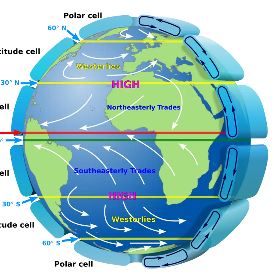 Hadley cells — visual reference