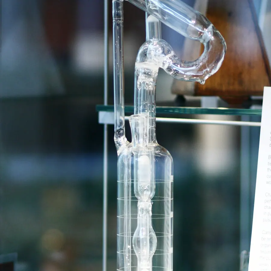 Vascular perfusion zones — visual reference