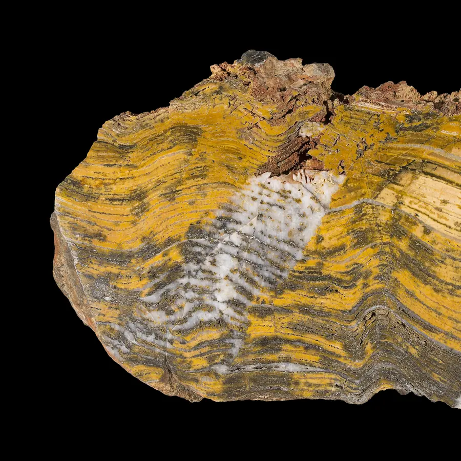 Stromatolites — visual reference