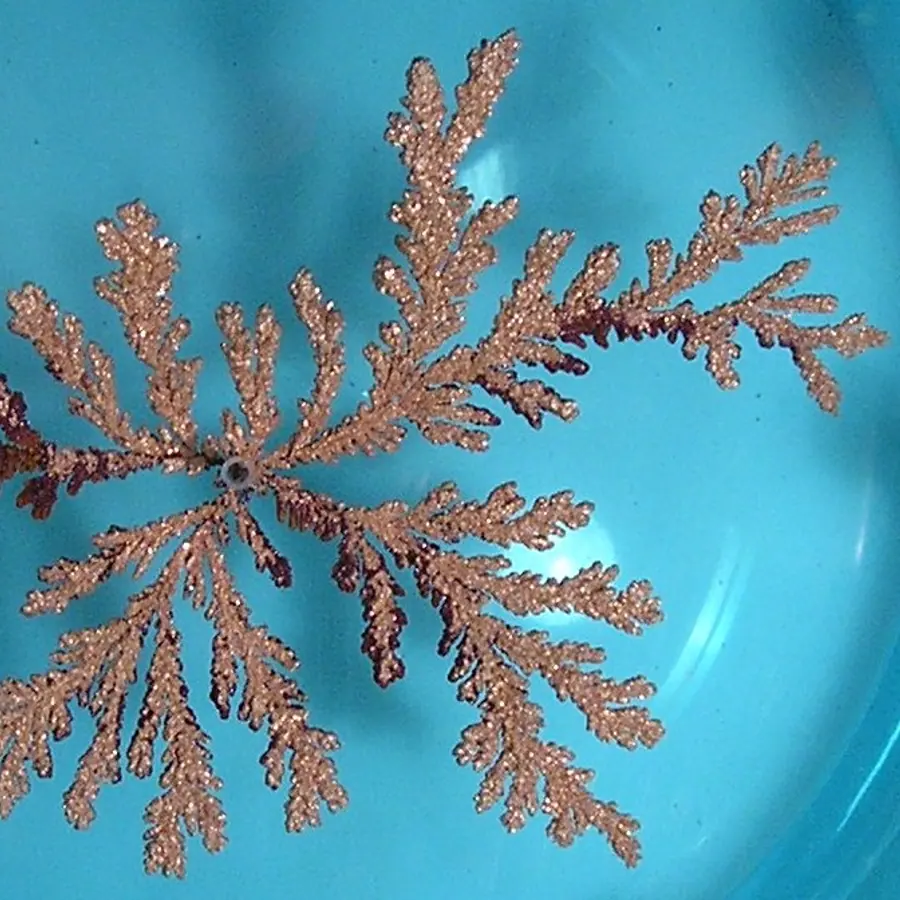 Diffusion-limited growth fronts — visual reference
