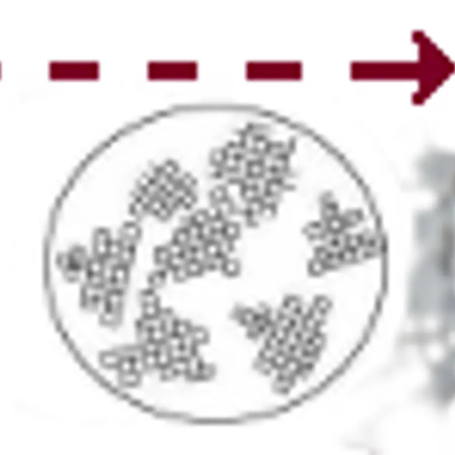 Recrystallization fronts — visual reference