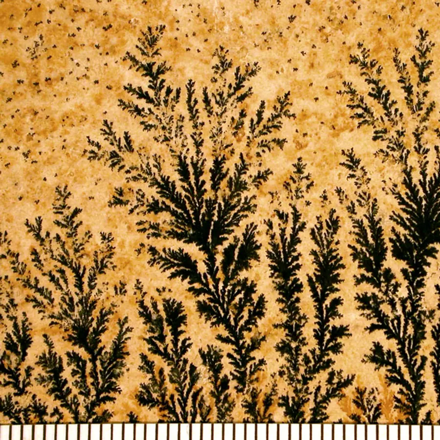 Dendritic growth — visual reference