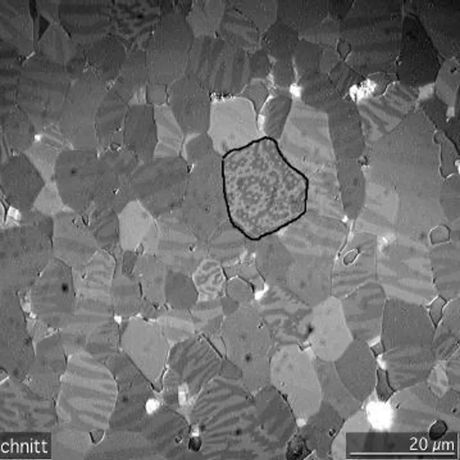 Magnetic domains — visual reference