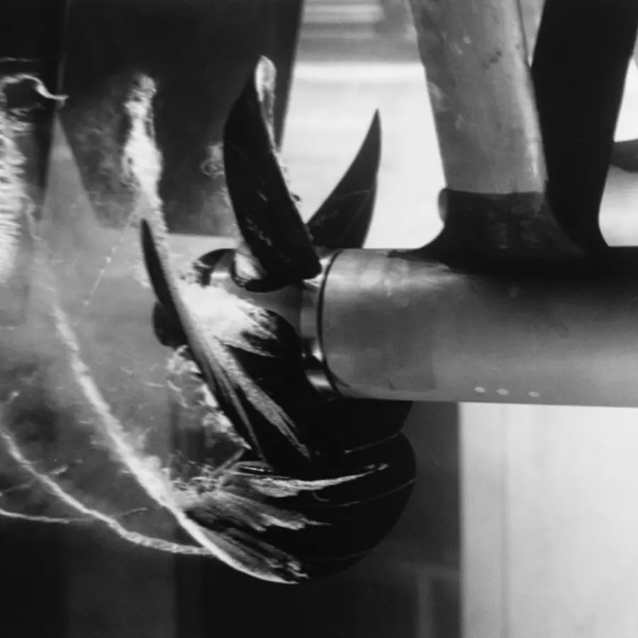 Cavitation rings — visual reference