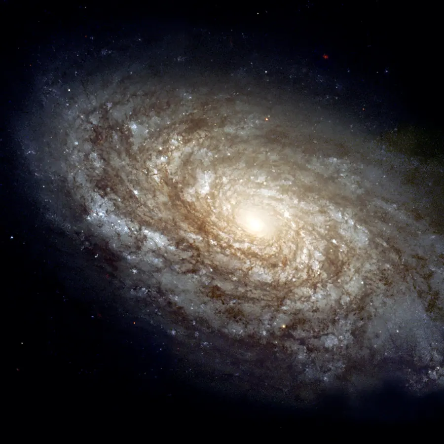 Shell galaxies — visual reference