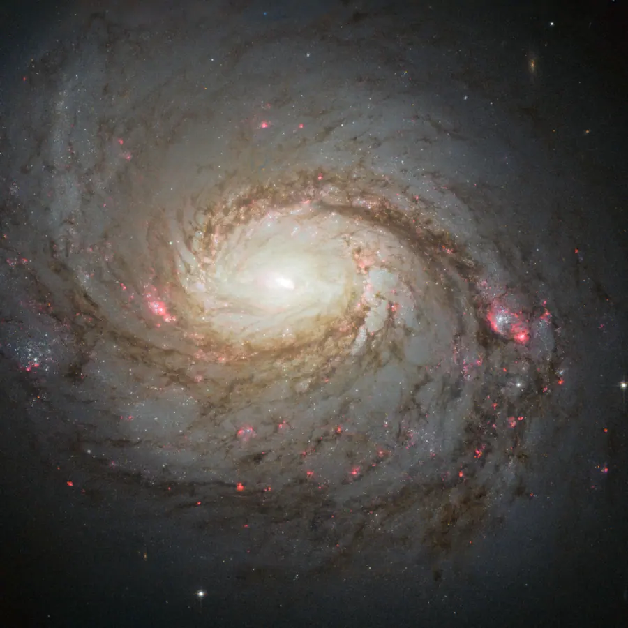 Spiral arm cross-sections — visual reference