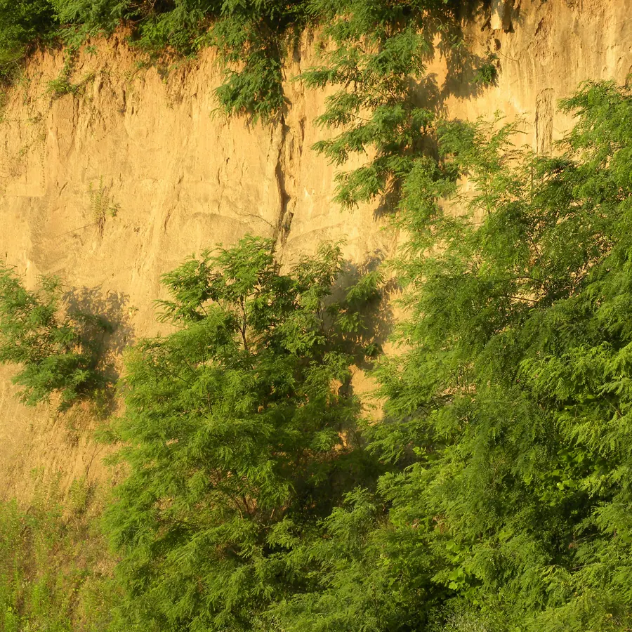 Loess layers — visual reference