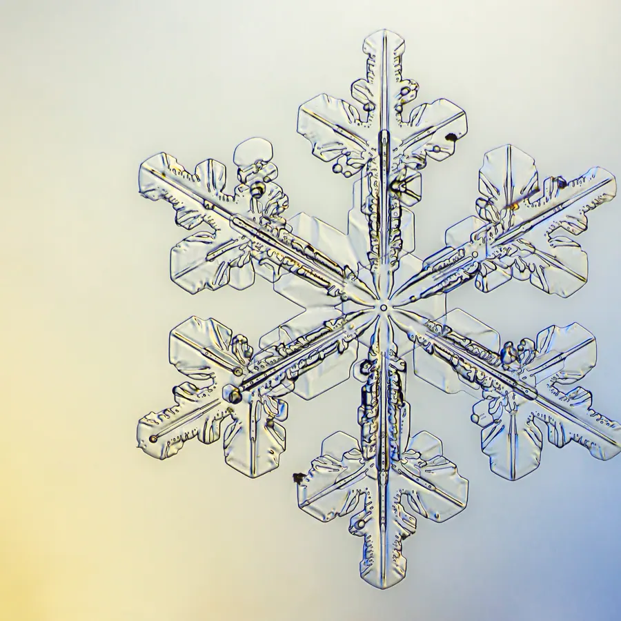 Snowflake central cores — visual reference