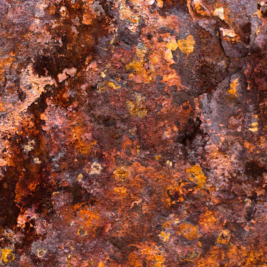 Rust blooming — visual reference