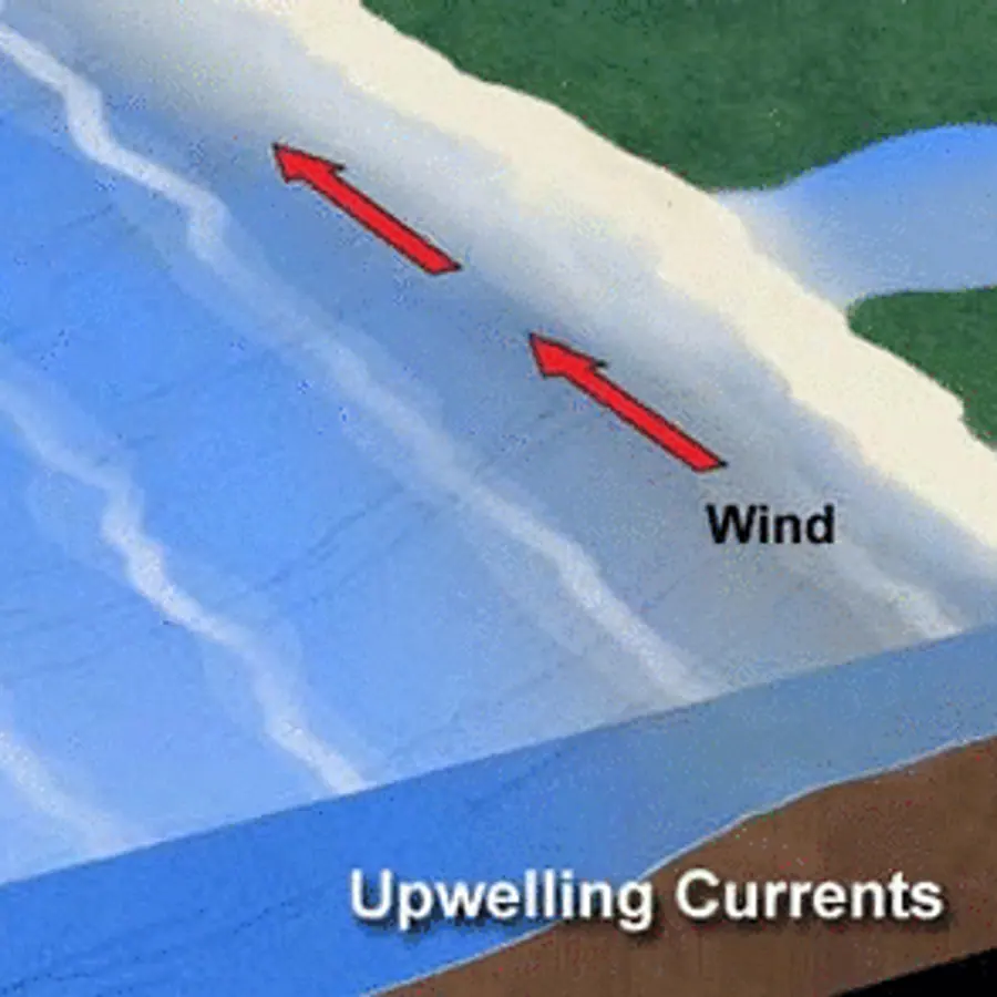 Upwelling zones — visual reference