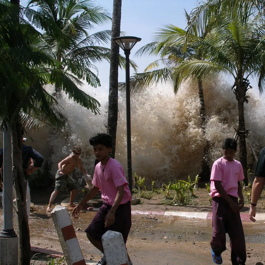 Tsunami wave rings — visual reference