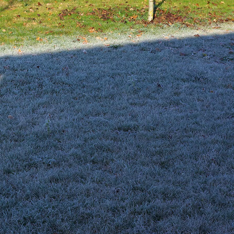 Frost halos — visual reference
