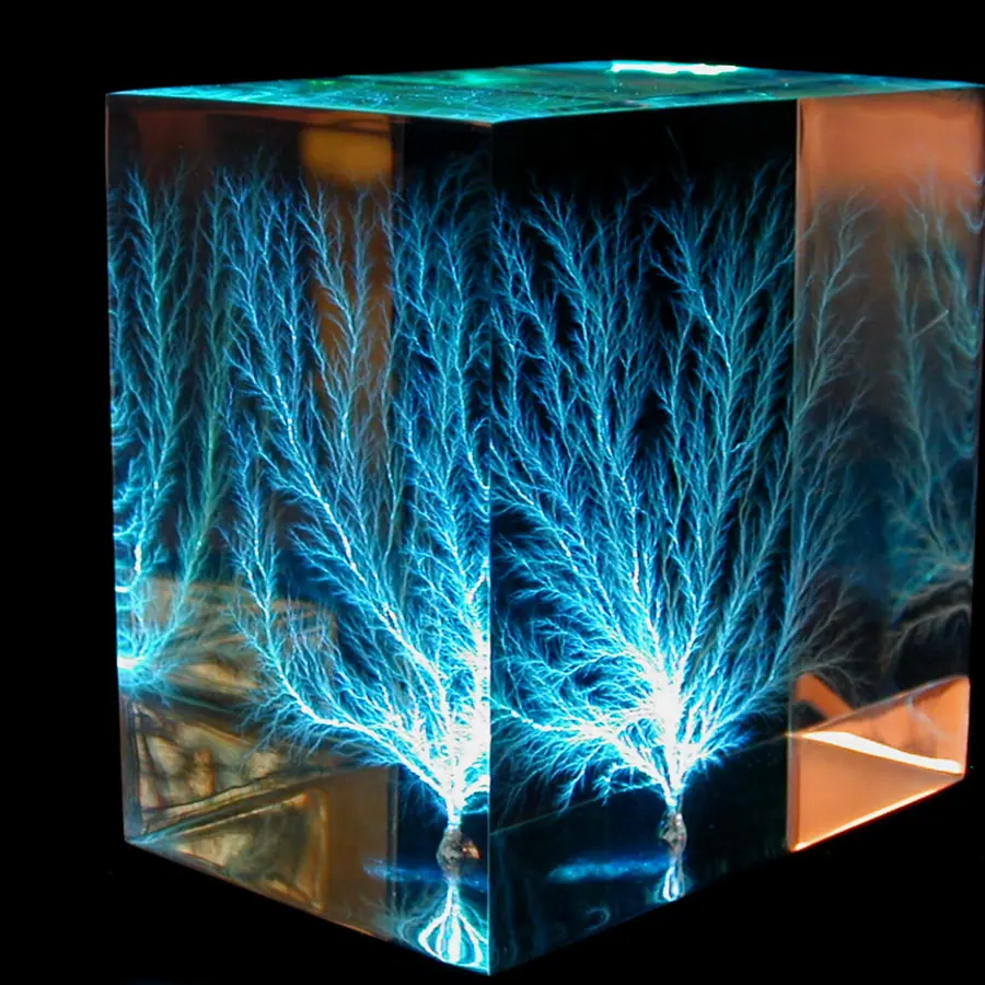 Lichtenberg figures — visual reference